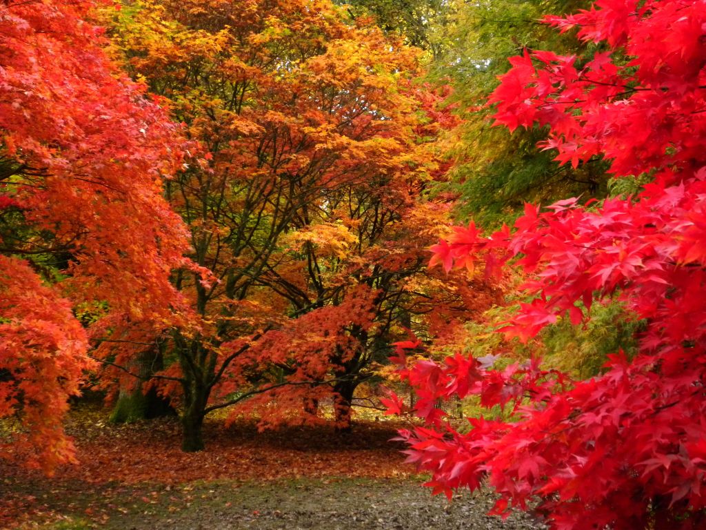 Autumn