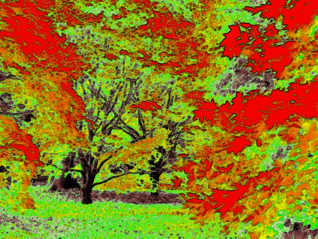 Autumn