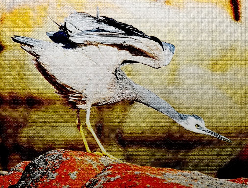 Crane