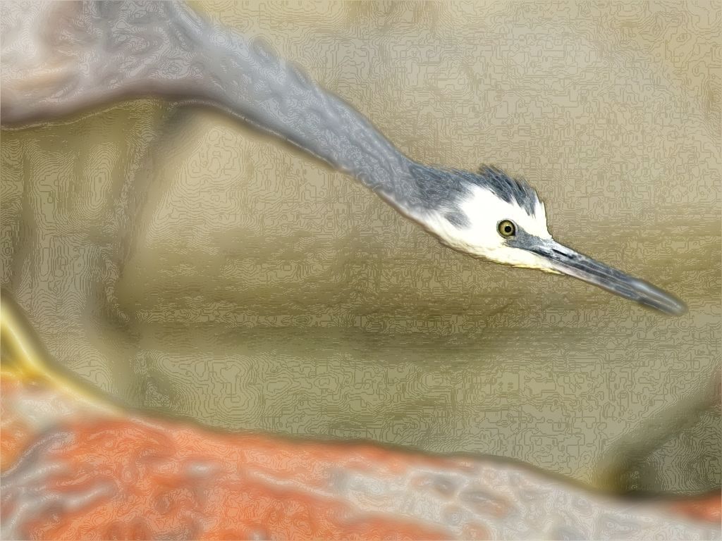 eyes1